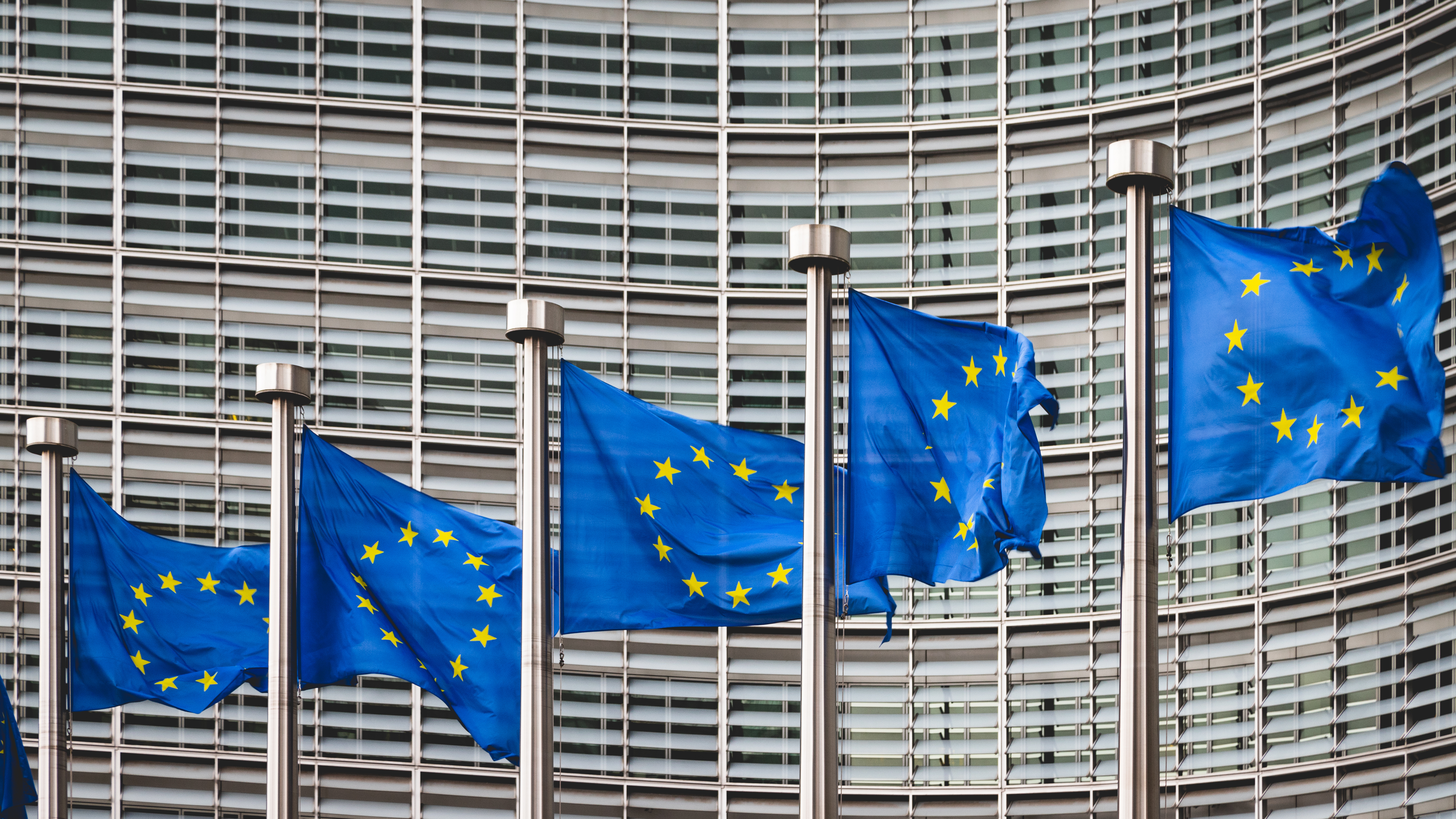 EU-Flaggen EU-Flaggen